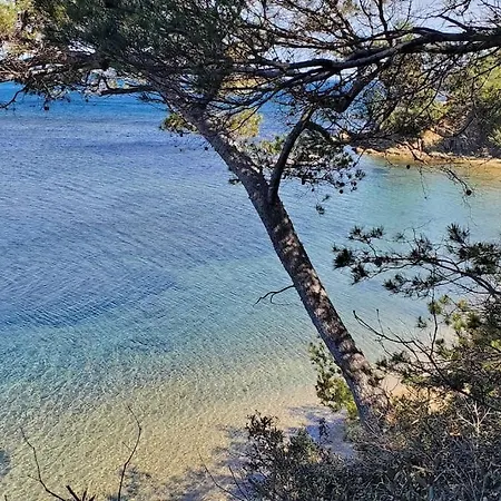 Dans Avec Piscine *
